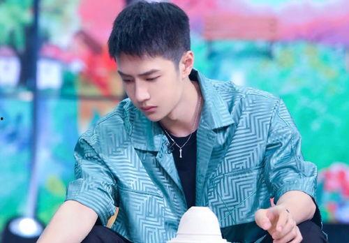 爆料吴磊王一博视频,幕后真相引热议